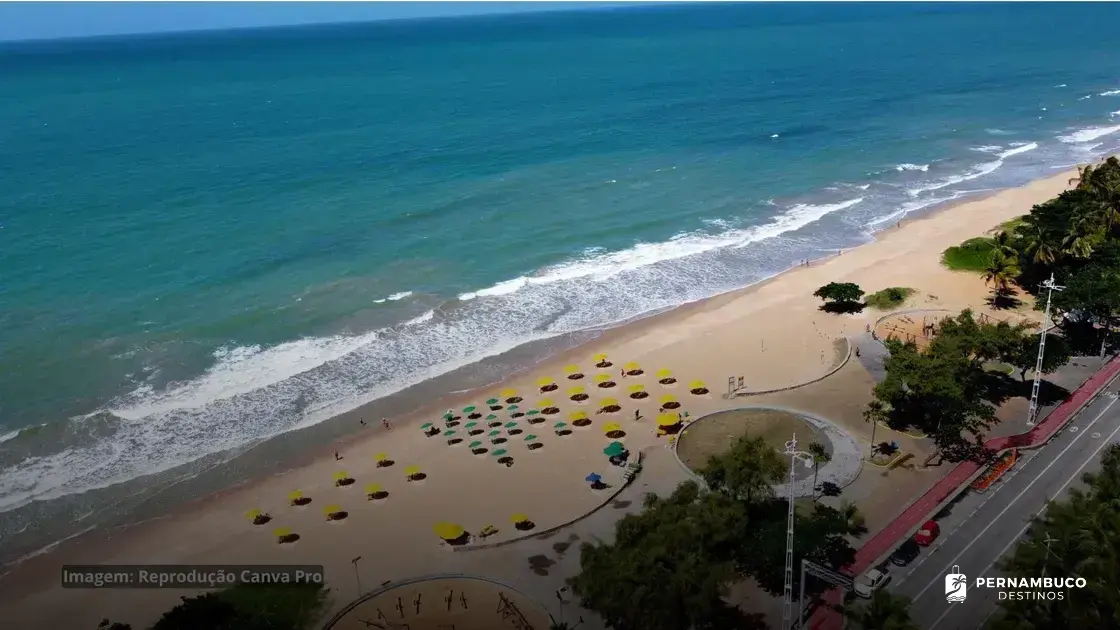 Conhecendo as Belezas Naturais de Recife - Pernambuco