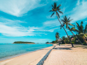 Praia de Tambaba