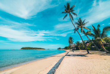 Praia de Tambaba