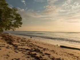 Viajar por Pernambuco