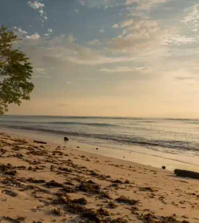 Viajar por Pernambuco