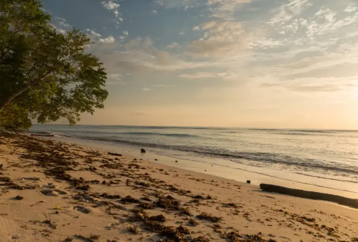 Viajar por Pernambuco