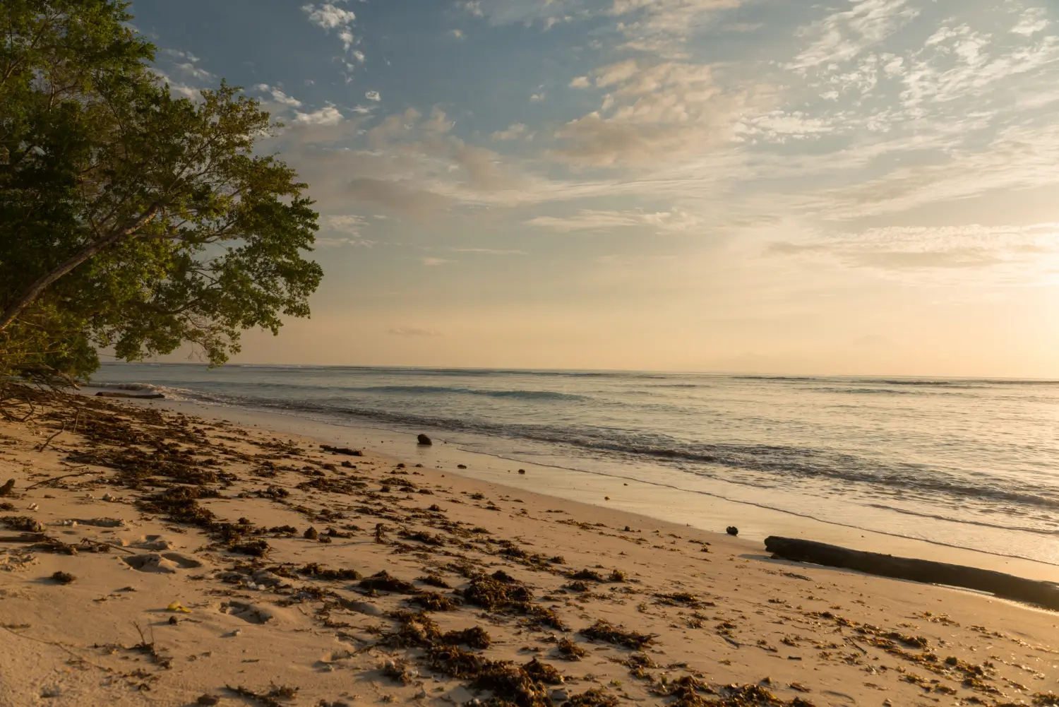 Viajar por Pernambuco