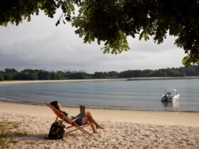 O Que Fazer em Pernambuco