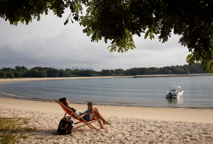 O Que Fazer em Pernambuco